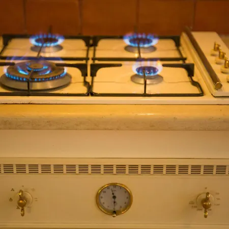 Town Traditional House / Cozy Yard *