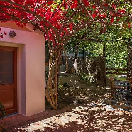 Town Traditional House / Cozy Yard *