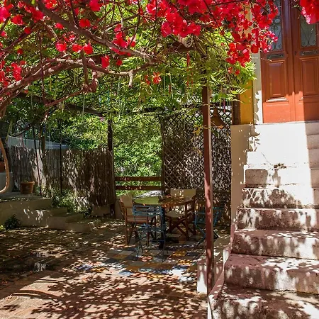 Town Traditional House / Cozy Yard *