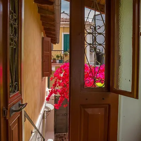 Town Traditional House / Cozy Yard