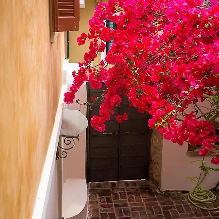 Town Traditional House / Cozy Yard Lägenhet